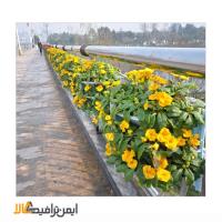 فلاور باکس طبقاتی گارد