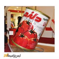 ماکت تبلیغاتی رب دلند