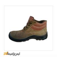 پوتین ایمنی طرح نبوک