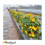 فلاور باکس طبقاتی گارد